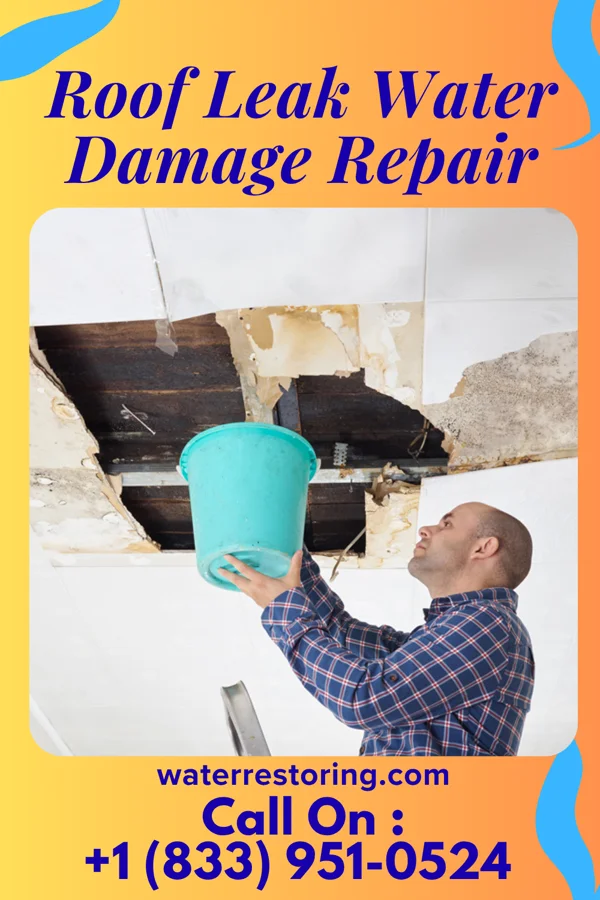 Roof Leak Water Damage Repair in Cane Beds, AZ